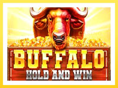 Buffalo Hold and Win Extreme online gaming machine