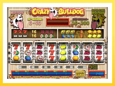 Crazy Bulldog online gaming machine