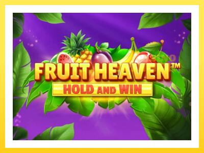 Fruit Heaven Hold and Win online gaming machine