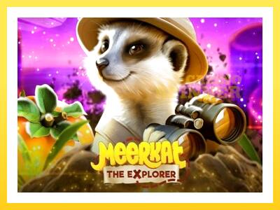 Meerkat online gaming machine