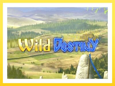 Wild Destiny online gaming machine