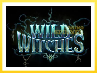 Wild Witches online gaming machine